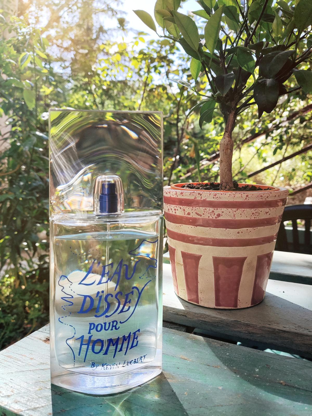 عطر ادکلن له دو ایسه پور هوم سامر ادیشن بای کوین لوکبر ایسه میاکه - L'Eau d'Issey Pour Homme Summer Edition by Kevin Lucbert Issey Miyake - بررسی، قیمت و خرید