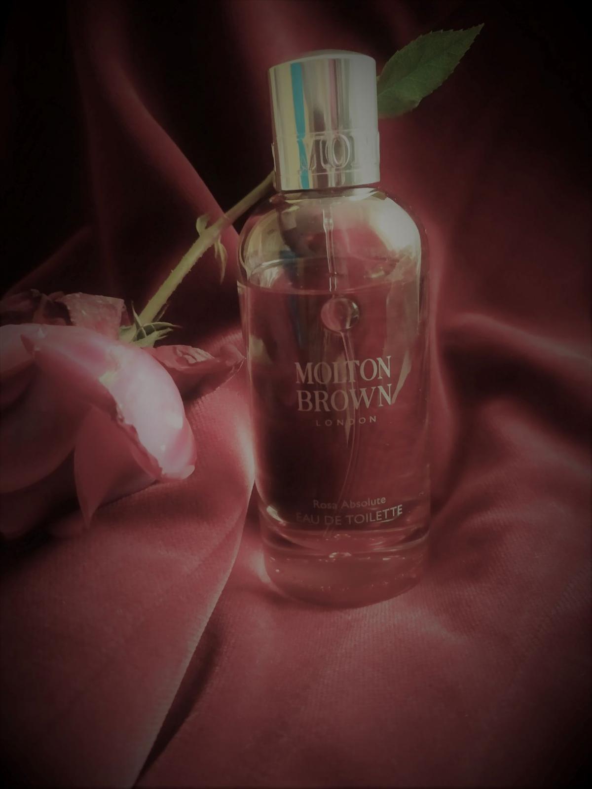 عطر ادکلن رزا ابسولوت مالتون براون - Rosa Absolute Molton Brown - بررسی، قیمت و خرید