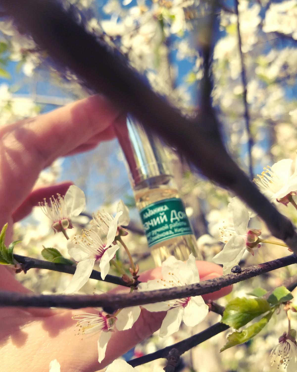 عطر ادکلن کازاکی دون لادانیکا - Cossack Don Казачий Дон Ladanika - بررسی، قیمت و خرید