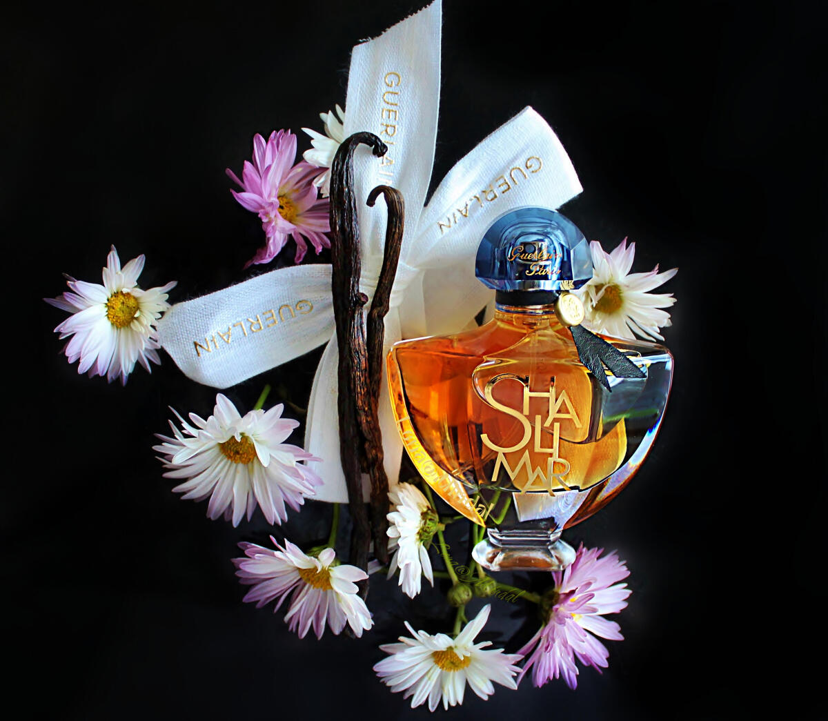 عطر ادکلن شالیمار ال اسنس گرلن - Shalimar L'Essence Guerlain - بررسی، قیمت و خرید