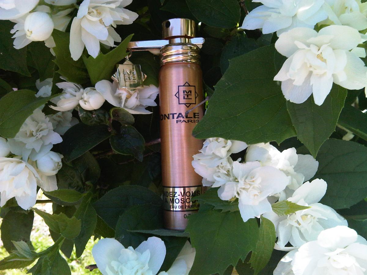 عطر ادکلن راندوو به مسکو مونتال - Rendez-vous à Moscou Montale - بررسی، قیمت و خرید