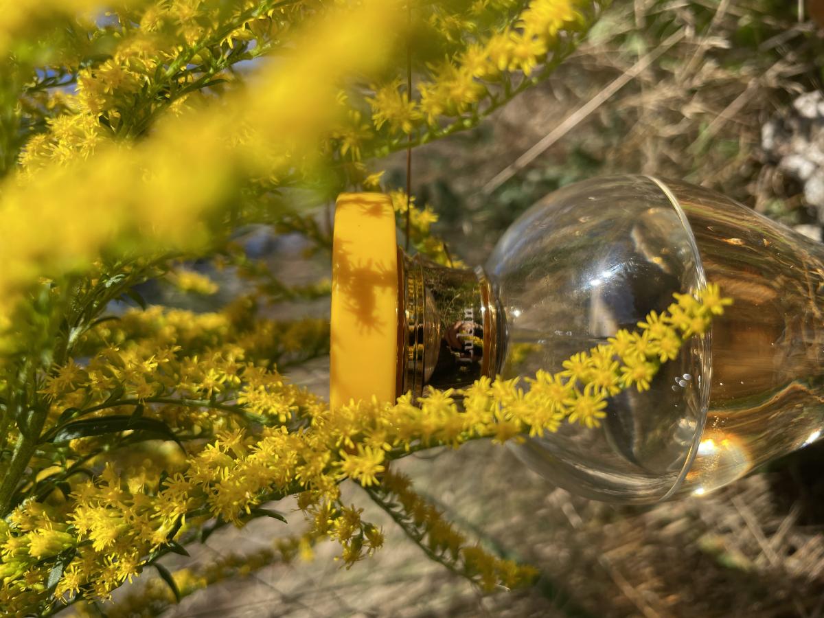 عطر ادکلن اپیدور لوبین - Epidor Lubin - بررسی، قیمت و خرید