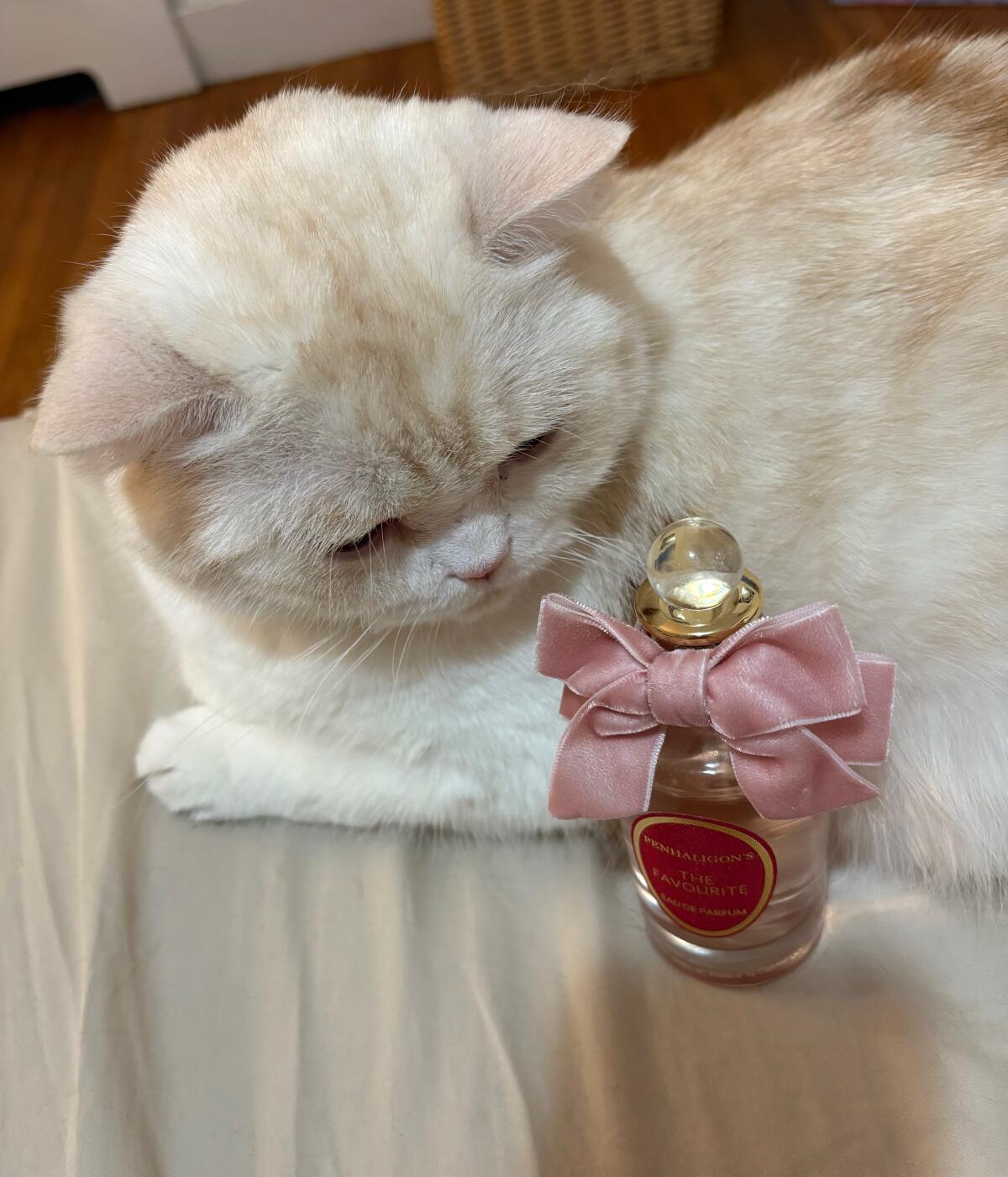 عطر ادکلن دی فیوریت پنالیگانز - The Favourite Penhaligon's - بررسی، قیمت و خرید