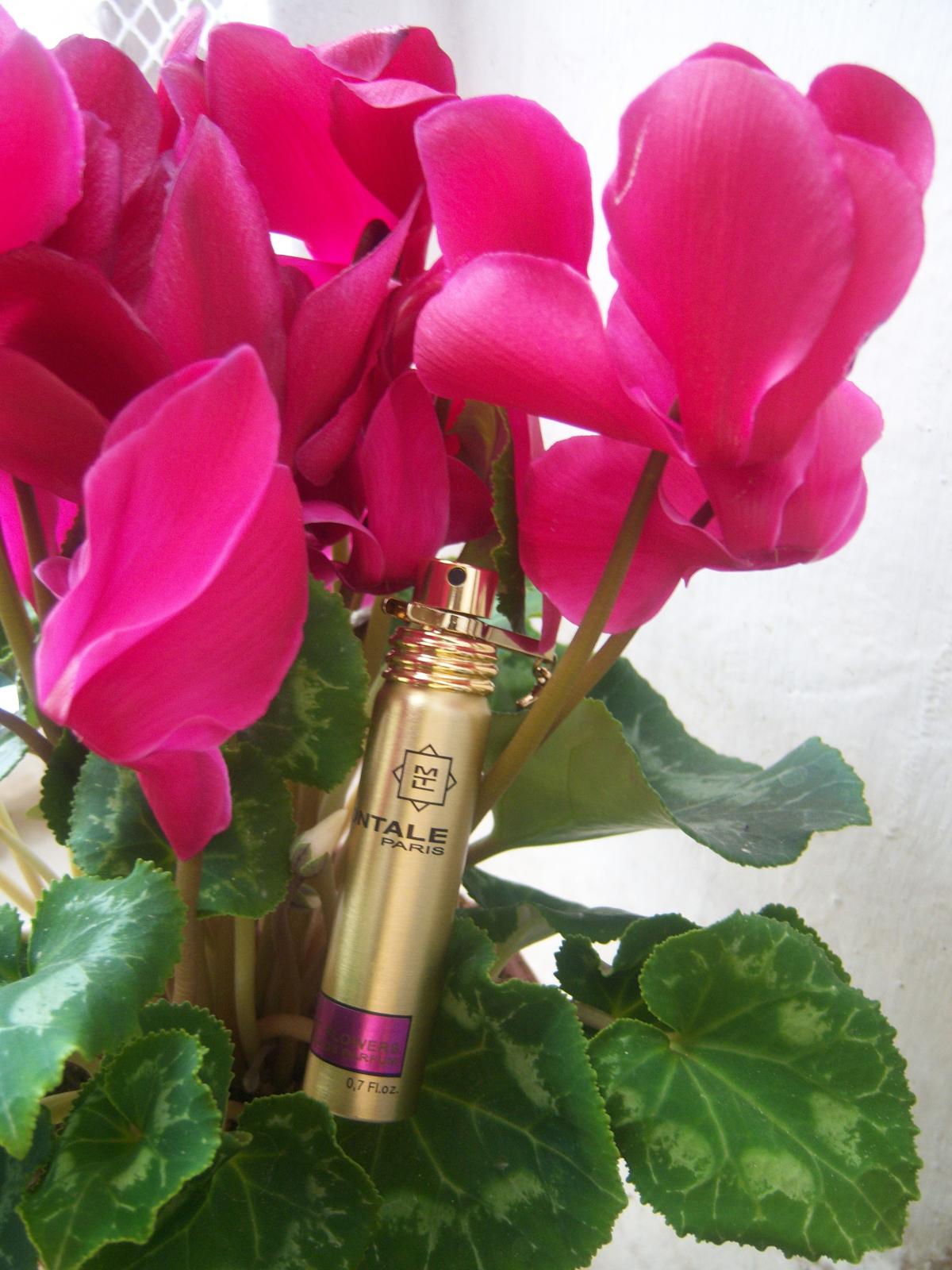 عطر ادکلن ولوت فلاورز مونتال - Velvet Flowers Montale - بررسی، قیمت و خرید