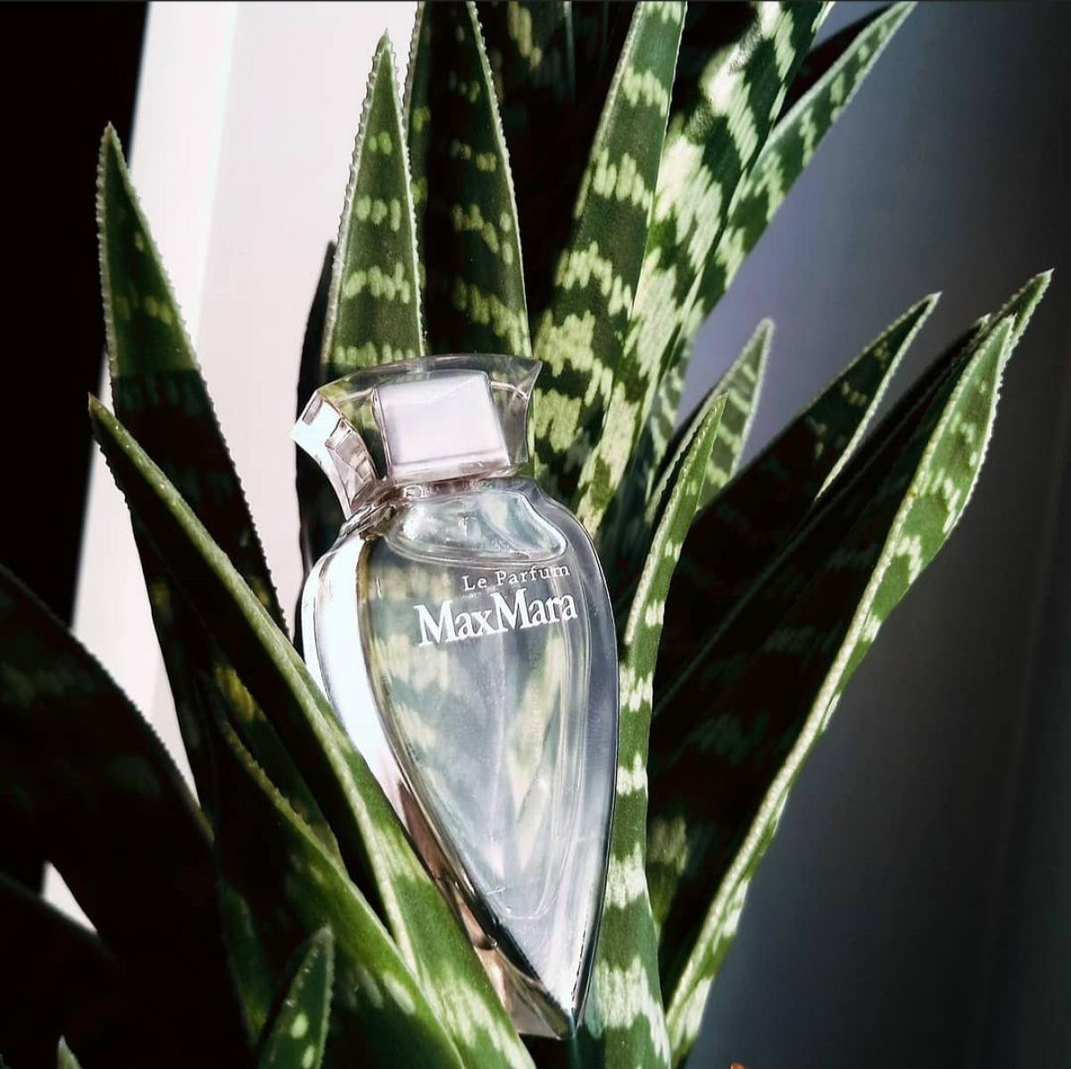 عطر ادکلن لو پرفیوم مَکس مارا - Le Parfum Max Mara - بررسی، قیمت و خرید