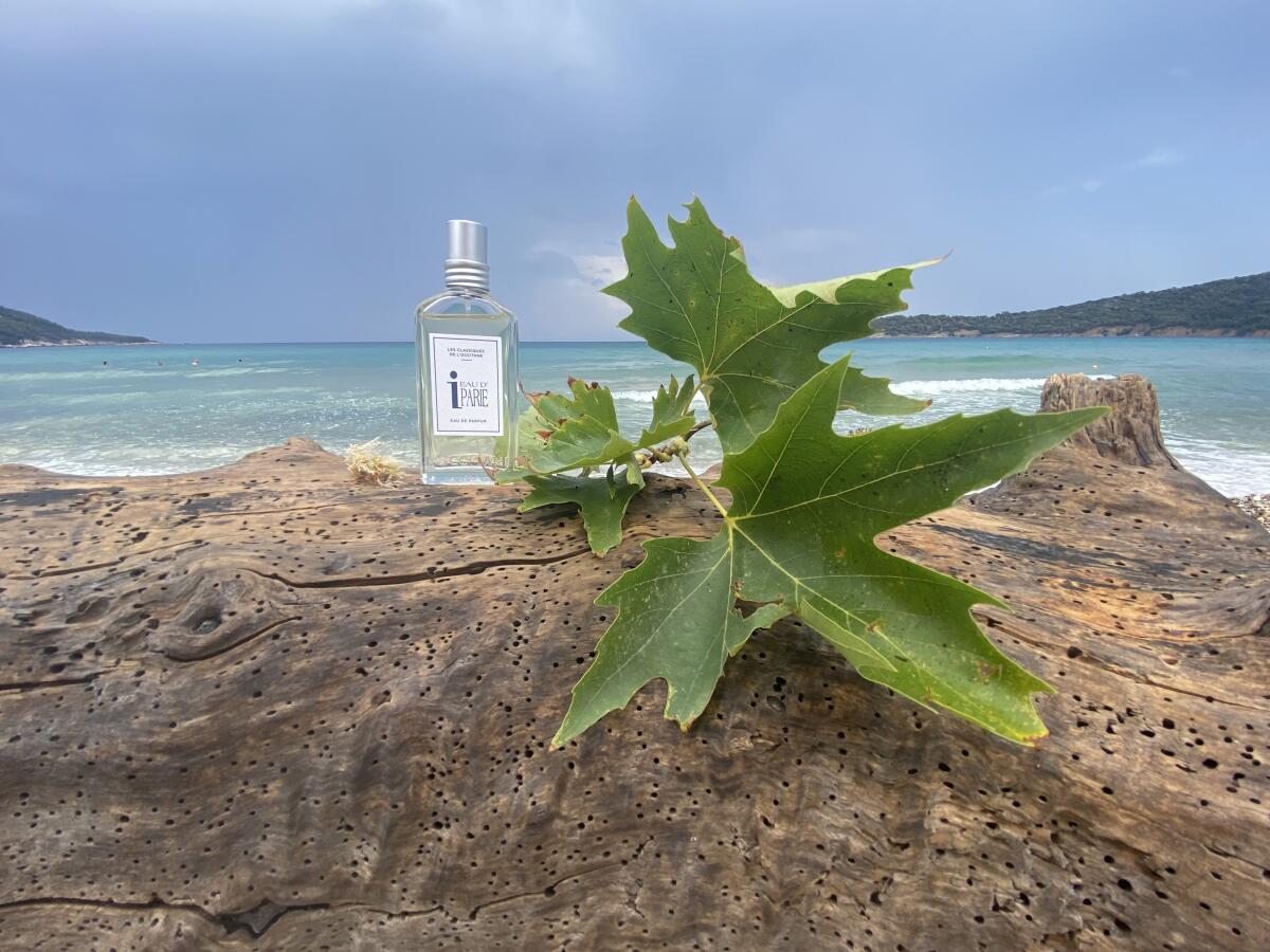 عطر ادکلن ادو ایپاری لاکستان - Eau d'Iparie L'Occitane en Provence - بررسی، قیمت و خرید