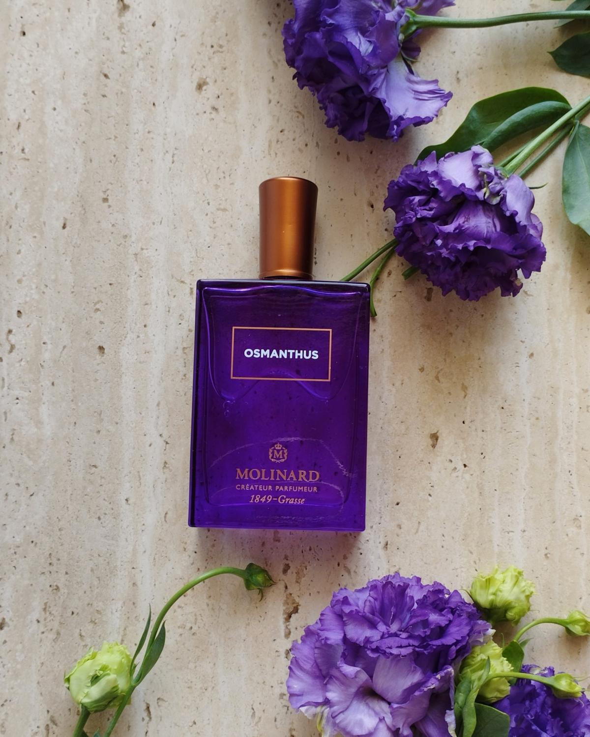 عطر ادکلن اوسمانتوس ادو پرفیوم مولینارد - Osmanthus Eau de Parfum Molinard - بررسی، قیمت و خرید