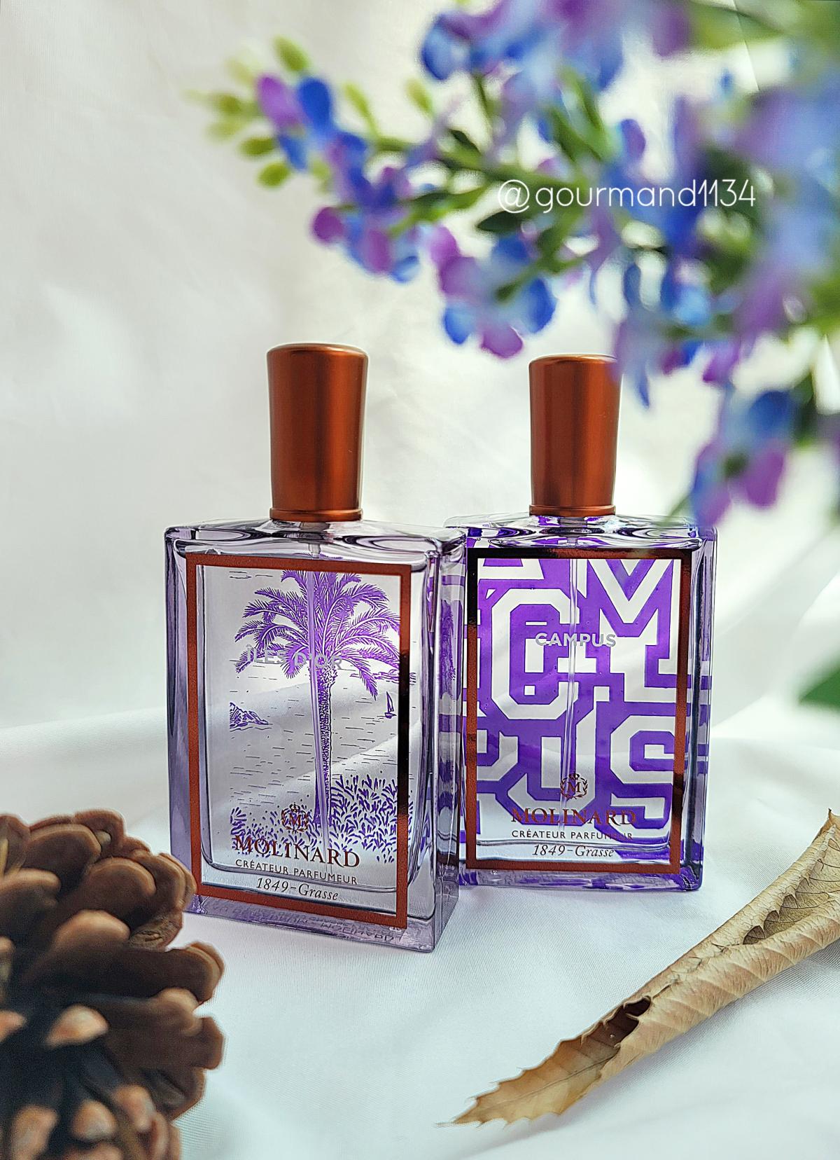 عطر ادکلن ایل دور مولینارد - Iles d'Or Molinard - بررسی، قیمت و خرید