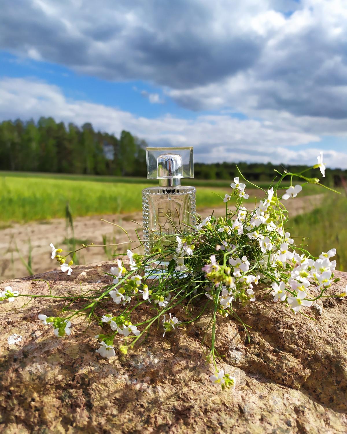 عطر ادکلن او دو للیک لالیک - Eau de Lalique Lalique - بررسی، قیمت و خرید