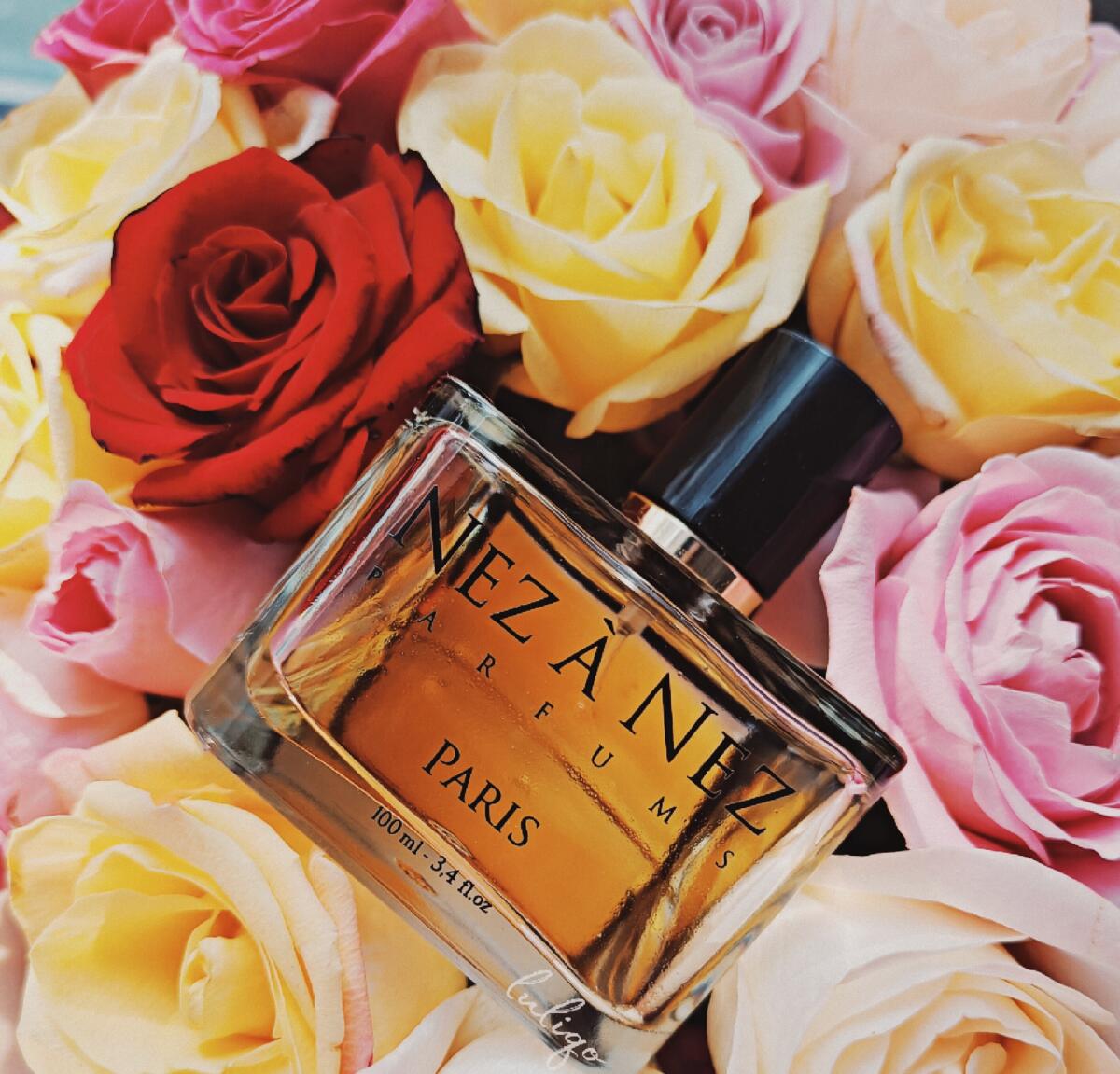 عطر ادکلن رزیه آردان نز عنز - Rosier Ardent Nez a Nez - بررسی، قیمت و خرید