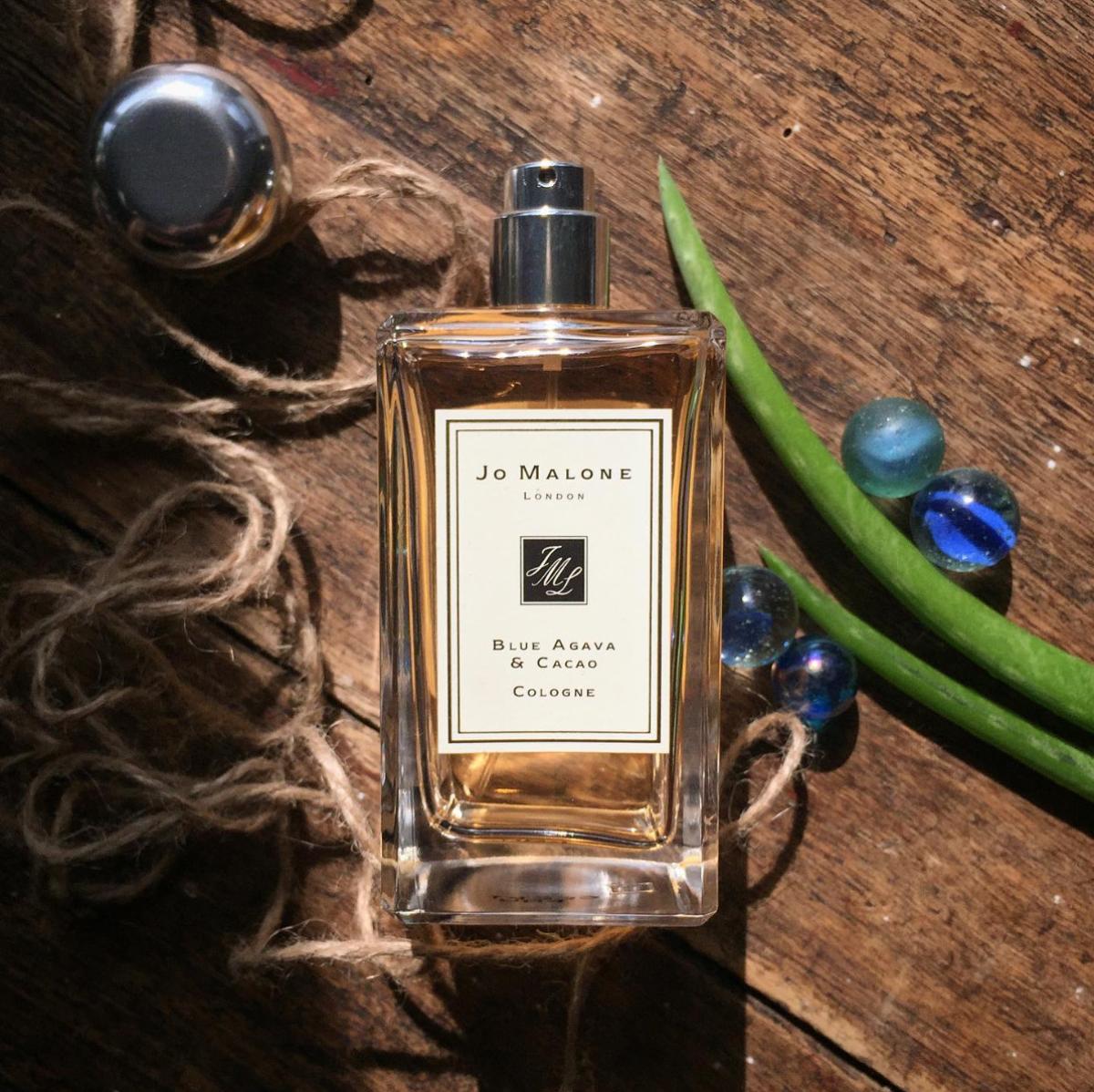 عطر ادکلن بلو آگاوا و کاکائو جو مالون لاندن - Blue Agava & Cacao Jo Malone London - بررسی، قیمت و خرید