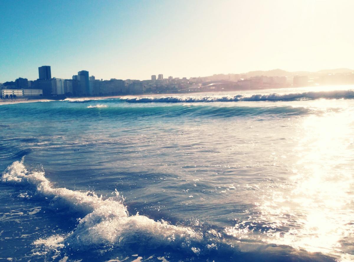 عطر ادکلن اگزاتیک کورال جودیت لیبر - Exotic Coral Judith Leiber - بررسی، قیمت و خرید