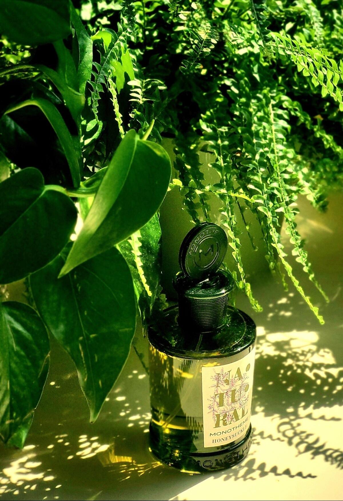 عطر ادکلن هانیساکل مونوتم ونیزیا - Honeysuckle Monotheme Venezia - بررسی، قیمت و خرید