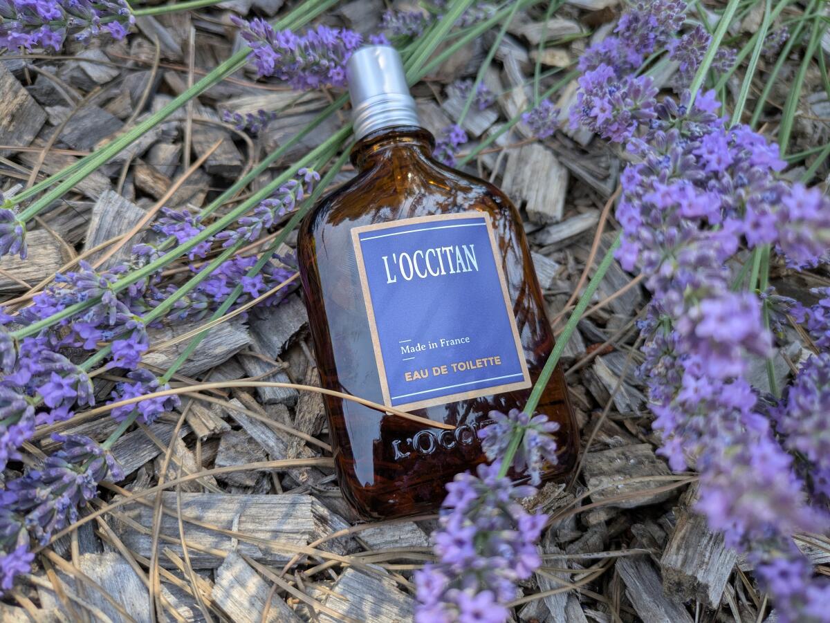 عطر ادکلن لکستان ادو تویلت لوکسیتان - L'Occitan Eau de Toilette L'Occitane en Provence - بررسی، قیمت و خرید