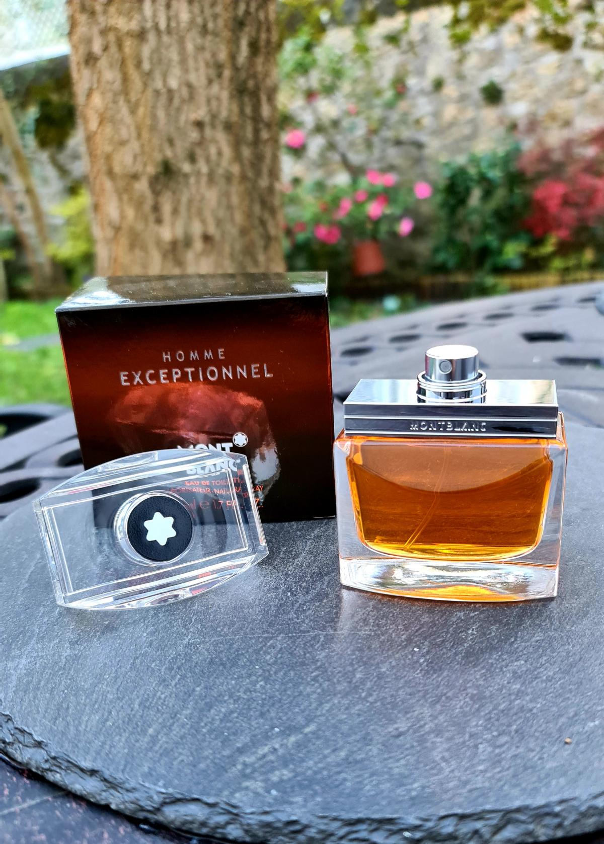 عطر ادکلن ام اکسپشنل مون بلان - Homme Exceptionnel Montblanc - بررسی، قیمت و خرید