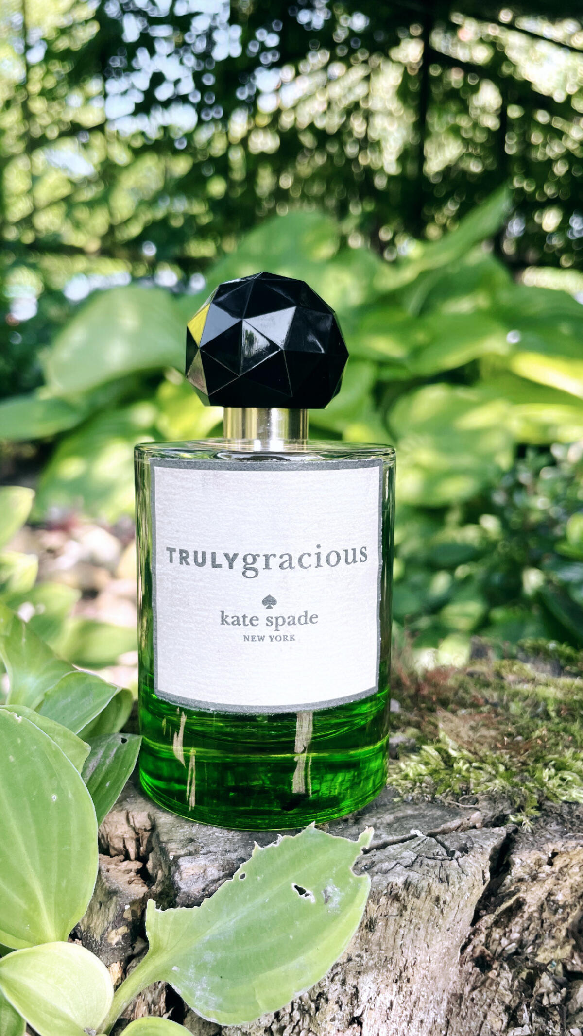عطر ادکلن تریولی‌گریشس کیت اسپید - TRULYgracious Kate Spade - بررسی، قیمت و خرید
