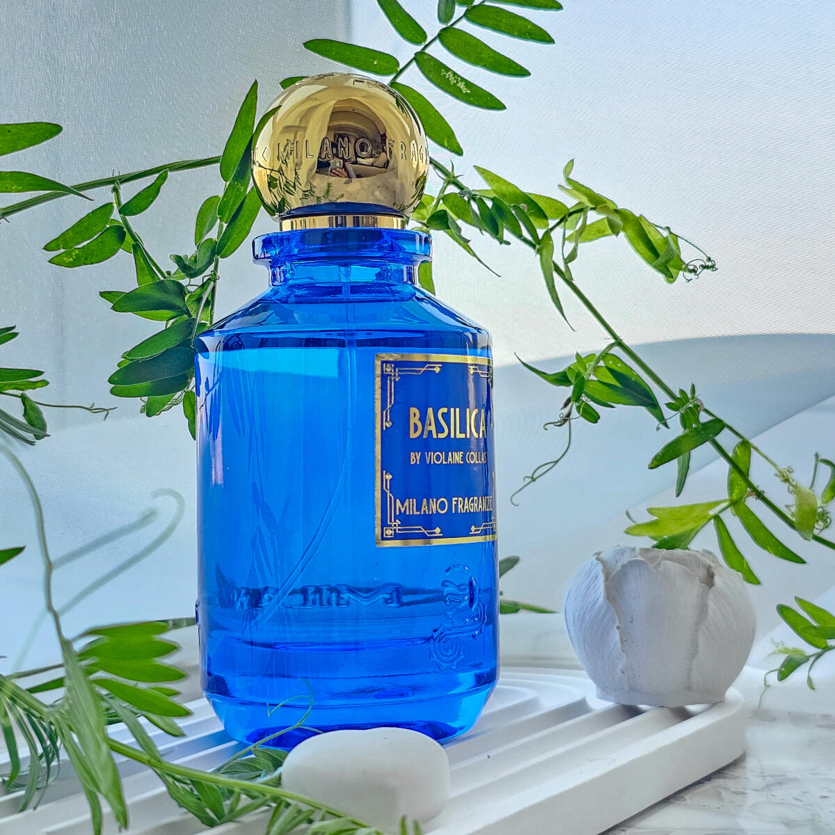 عطر ادکلن بازیلکا میلان فرانزه - Basilica Milano Fragranze - بررسی، قیمت و خرید
