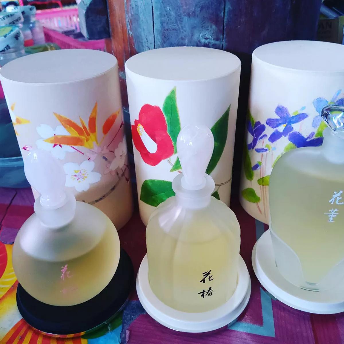 عطر ادکلن هانا ساکورا شیسیدو - Hana Sakura Shiseido - بررسی، قیمت و خرید