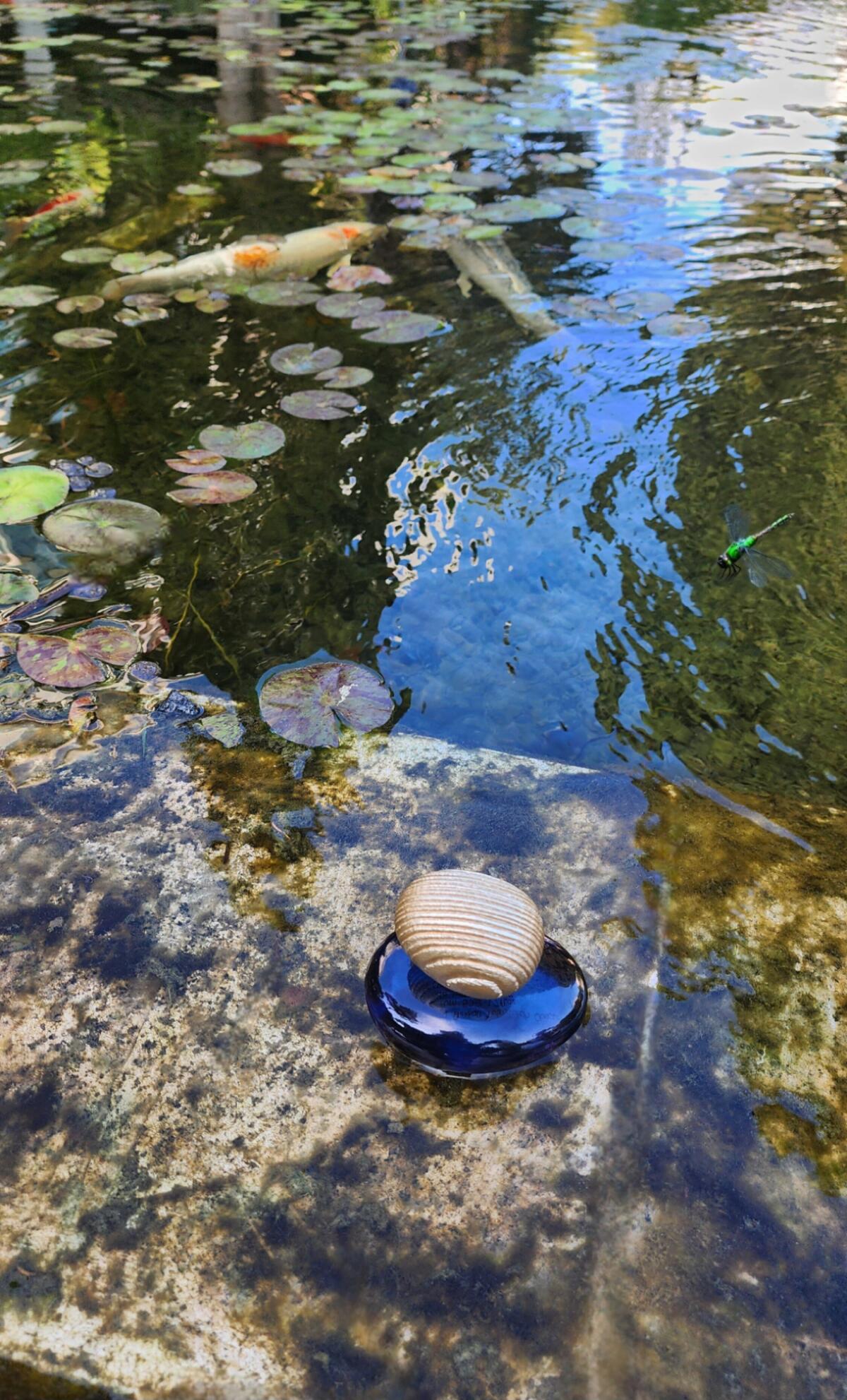 عطر ادکلن تولیتولاه آبسکور مایدا بککالی - Tulaytulah Obscur Majda Bekkali - بررسی، قیمت و خرید