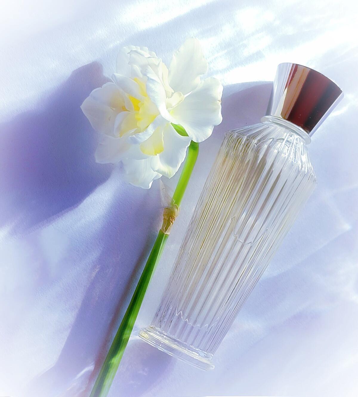 عطر ادکلن آشوکا نیلا ورمیر کریشنز - Ashoka Neela Vermeire Creations - بررسی، قیمت و خرید