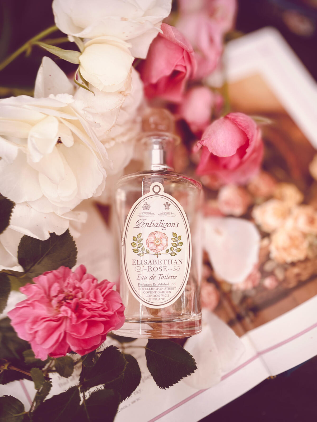 عطر ادکلن الیزابتن روز - وینتیج پنهالیگانز - Elisabethan Rose - Vintage Penhaligon's - بررسی، قیمت و خرید