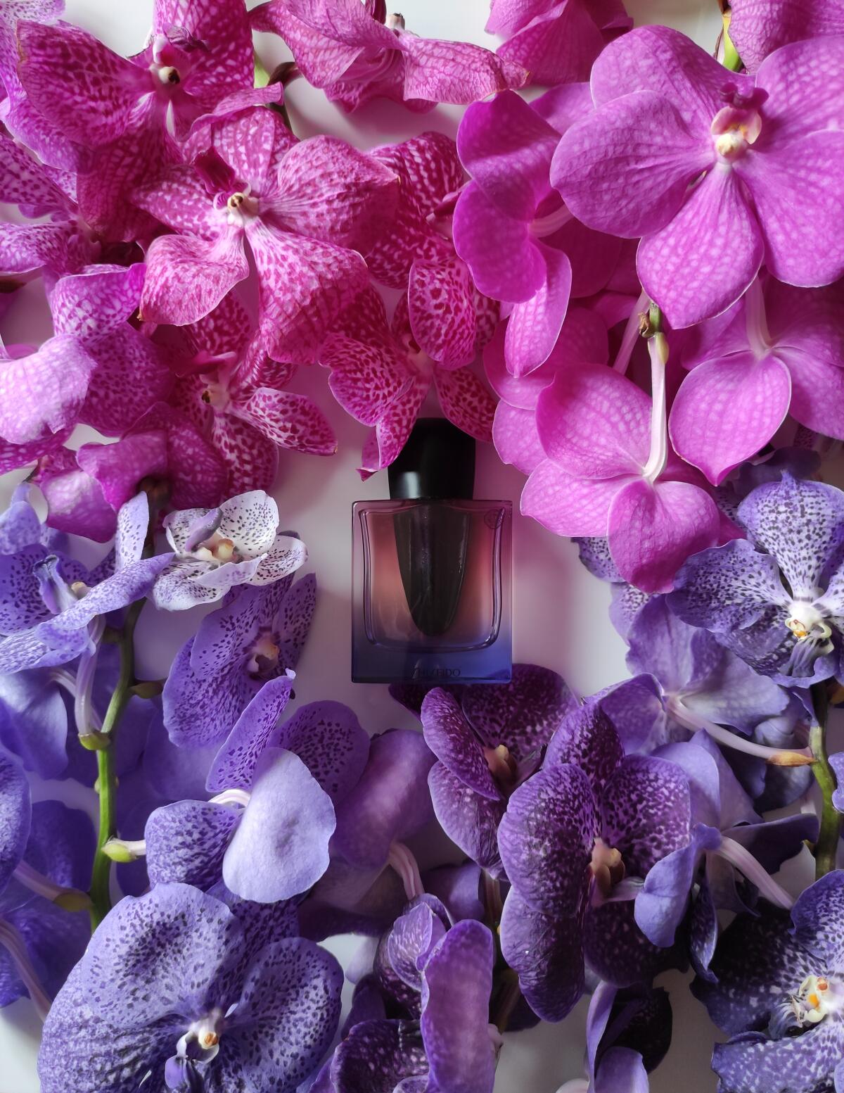 عطر ادکلن گینزا نایت شیسیدو - Ginza Night Shiseido - بررسی، قیمت و خرید