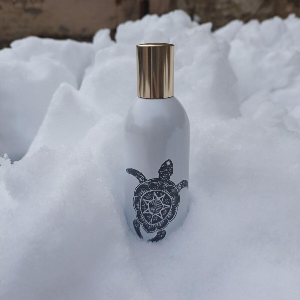 عطر ادکلن وِلنس اِسکیل ماوری کالکشن - Wellness Skill Maori Collection - بررسی، قیمت و خرید