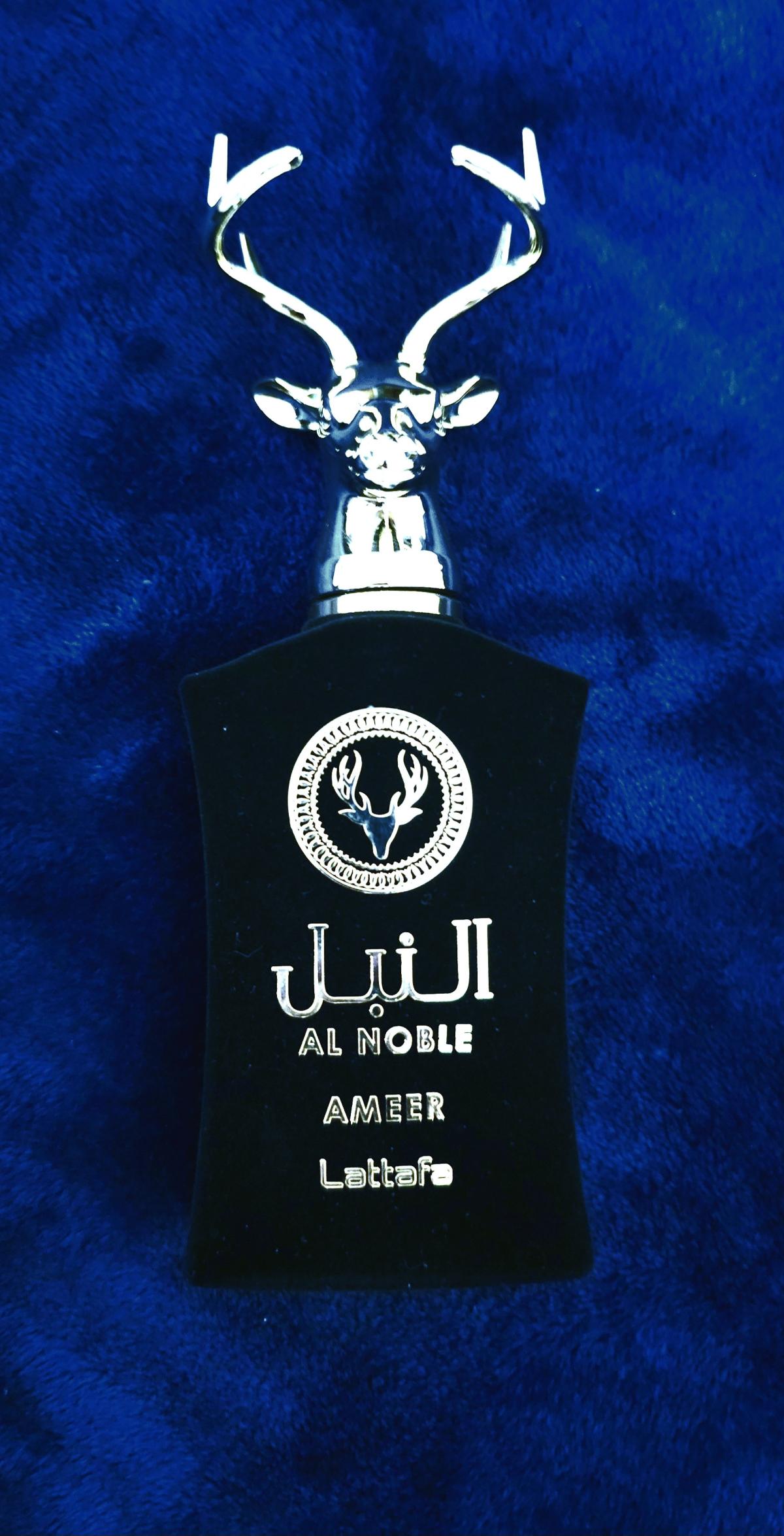 عطر ادکلن امیر لطافه پرفیومز - Ameer Lattafa Perfumes - بررسی، قیمت و خرید