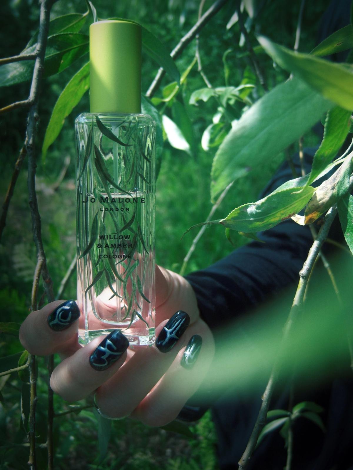 عطر ادکلن ویلو و امبر جو مالون لندن - Willow & Amber Jo Malone London - بررسی، قیمت و خرید