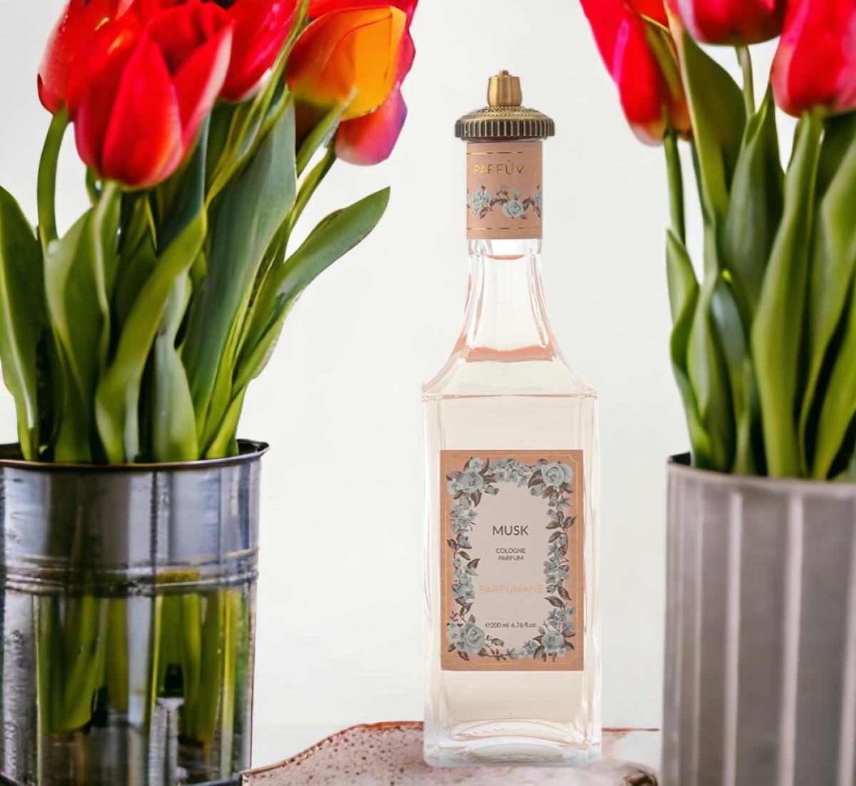 عطر ادکلن ماسک پرفیومَن - Musk Parfumane - بررسی، قیمت و خرید