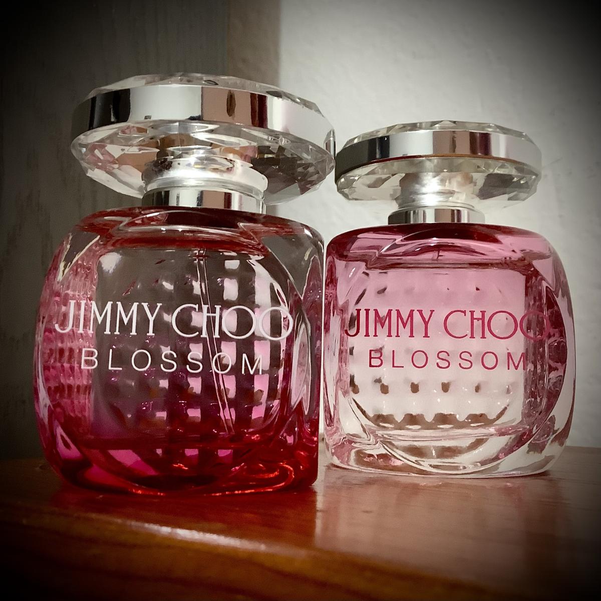 عطر ادکلن جیمی چو بلاسم اسپشیال ادیشن ۲۰۱۹ جیمی چو - Jimmy Choo Blossom Special Edition 2019 Jimmy Choo - بررسی، قیمت و خرید
