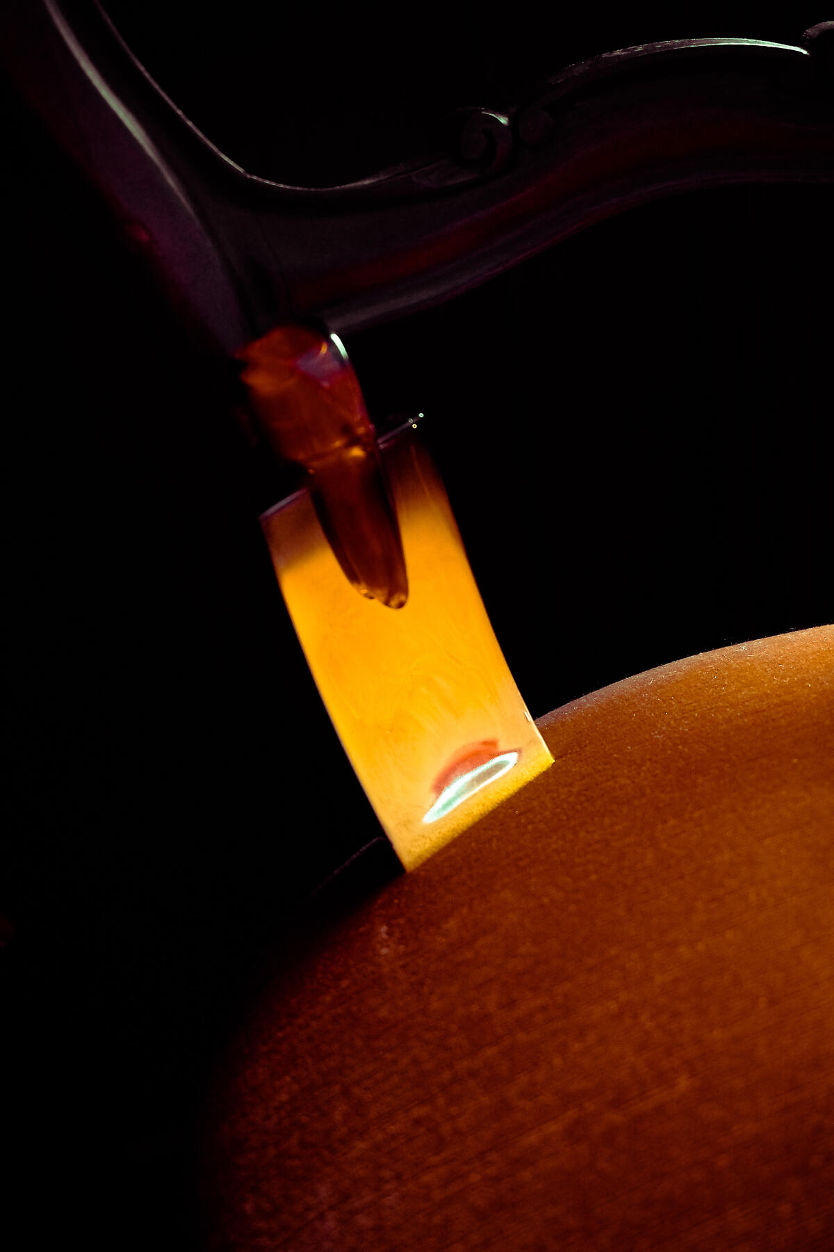 عطر ادکلن آکاد لوبین - Akkad Lubin - بررسی، قیمت و خرید