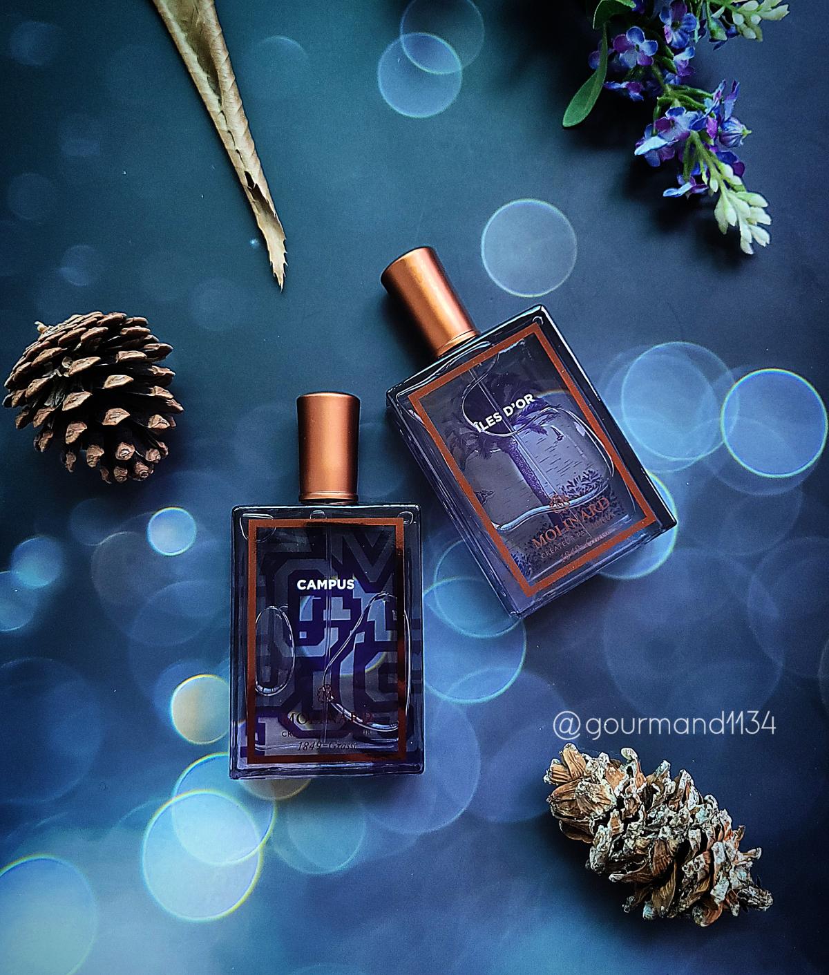 عطر ادکلن ایل دور مولینارد - Iles d'Or Molinard - بررسی، قیمت و خرید