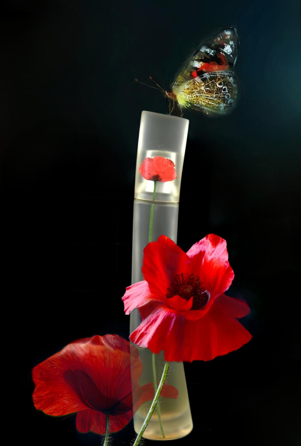 عطر ادکلن فلور بای کنزو سامر فراگرنس دو هزار و چهار کنزو - Flower by Kenzo Summer Fragrance 2004 Kenzo - بررسی، قیمت و خرید