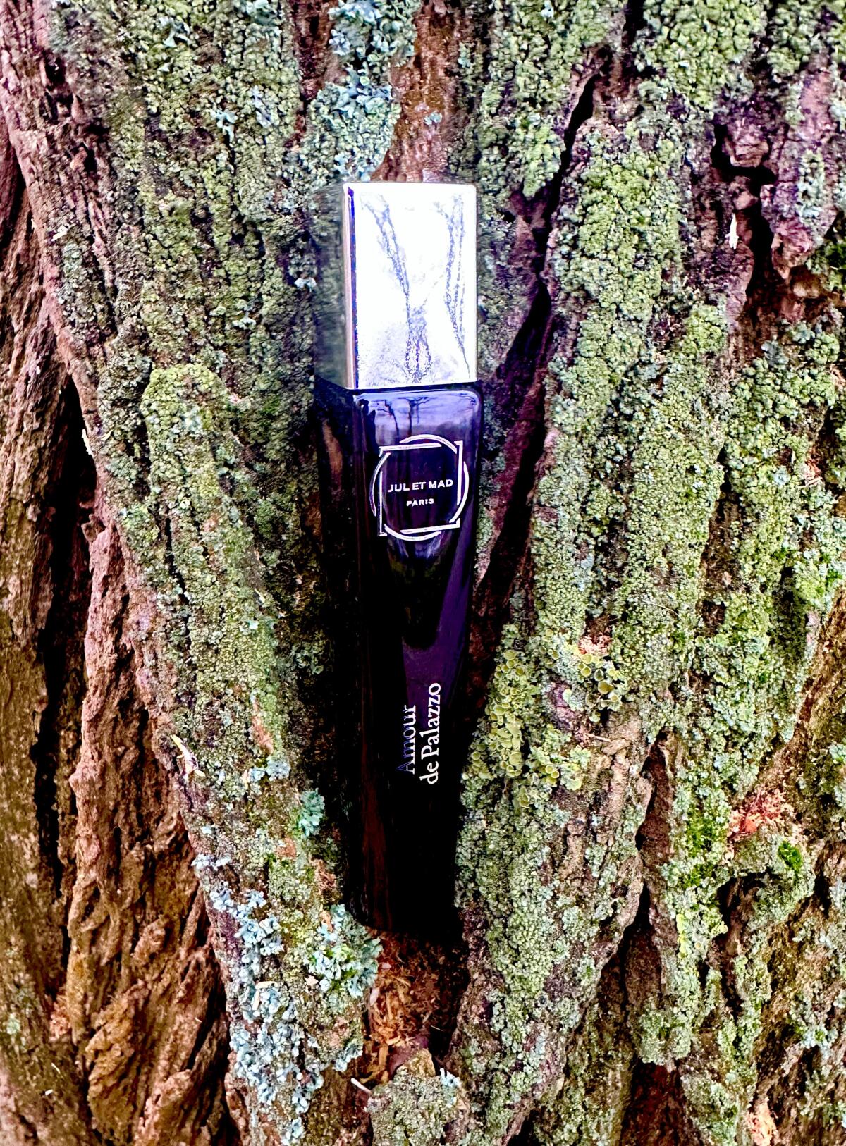 عطر ادکلن امور د پَلَزو ژول ات مد پاریس - Amour de Palazzo Jul et Mad Paris - بررسی، قیمت و خرید