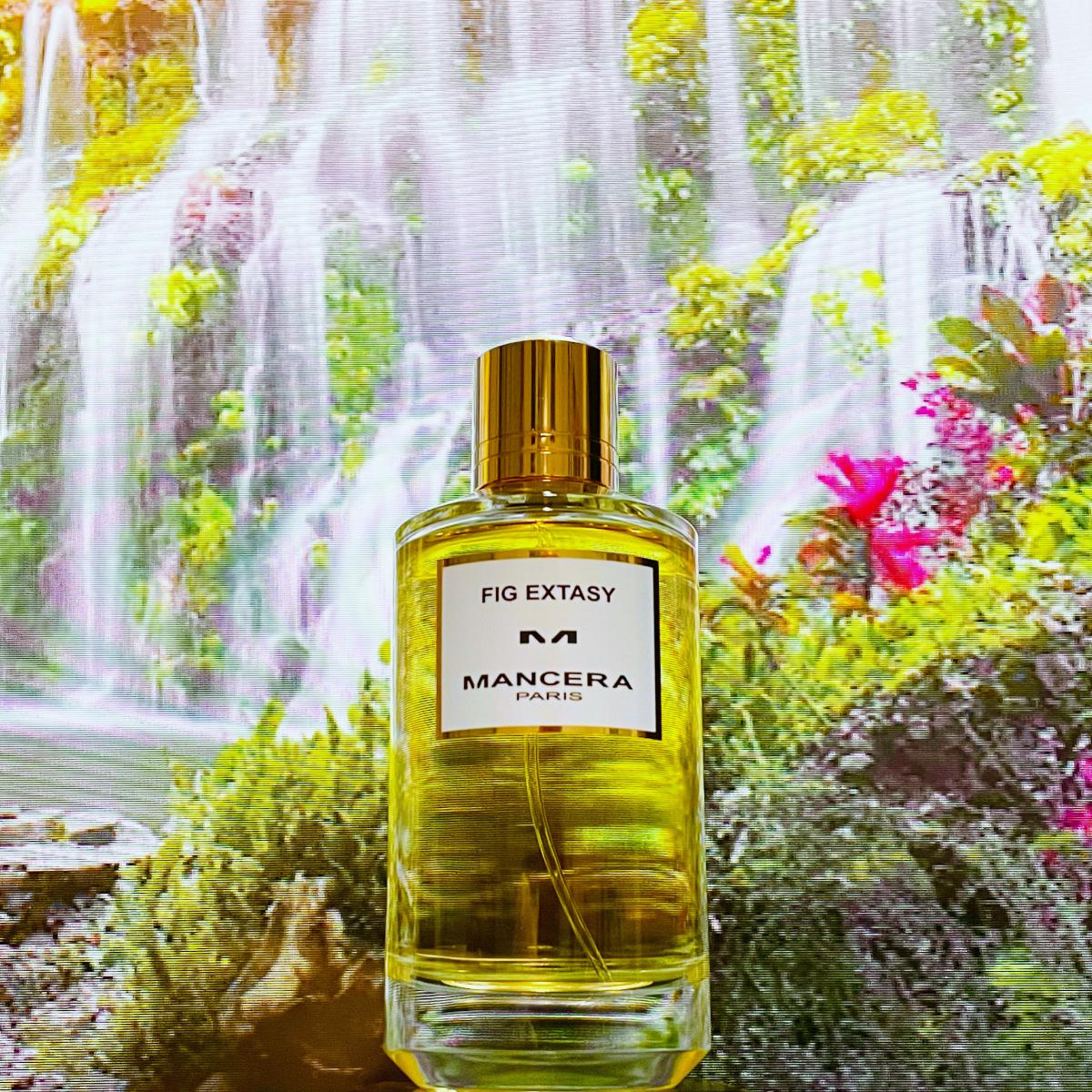 عطر ادکلن فیگ اکسستی مانسرا - Fig Extasy Mancera - بررسی، قیمت و خرید