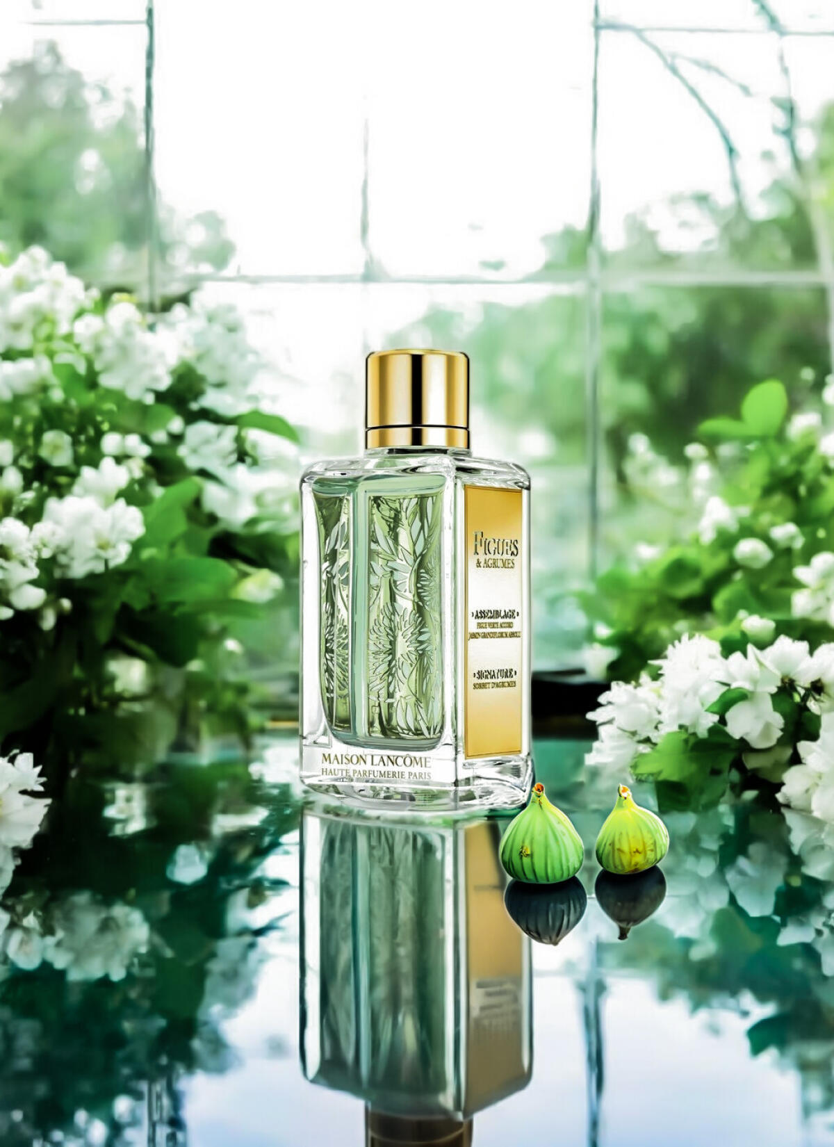 عطر ادکلن فیگوس اند آگرومس لنکوم - Figues & Agrumes Lancôme - بررسی، قیمت و خرید