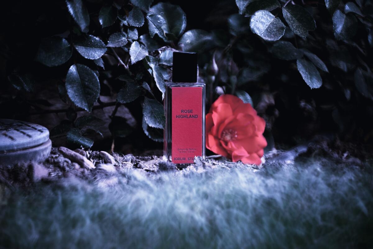 عطر ادکلن رُز هایلند جروم استودیو - Rose Highland Jorum Studio - بررسی، قیمت و خرید