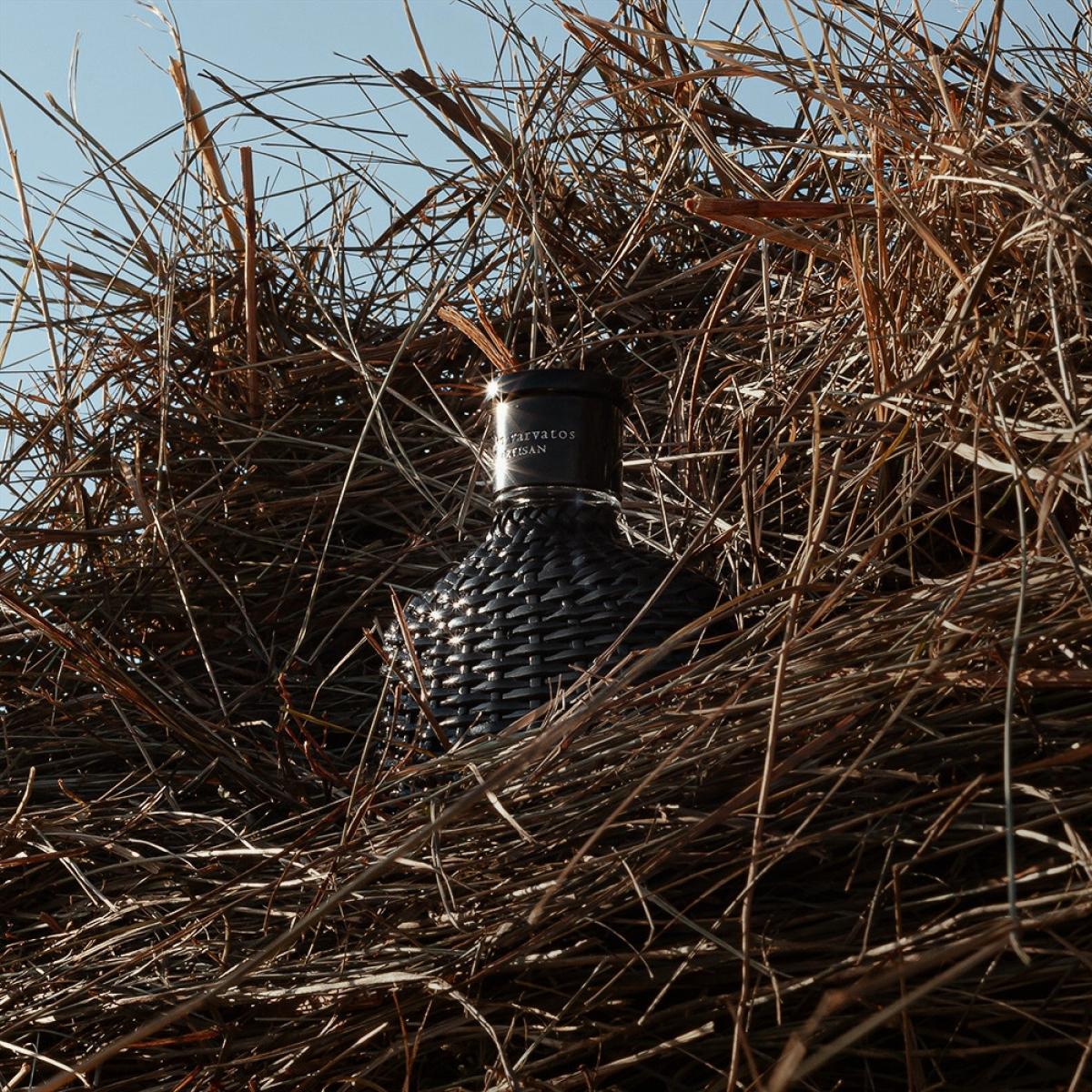 عطر ادکلن آرتیزان بلک جان وارواتوس - Artisan Black John Varvatos - بررسی، قیمت و خرید