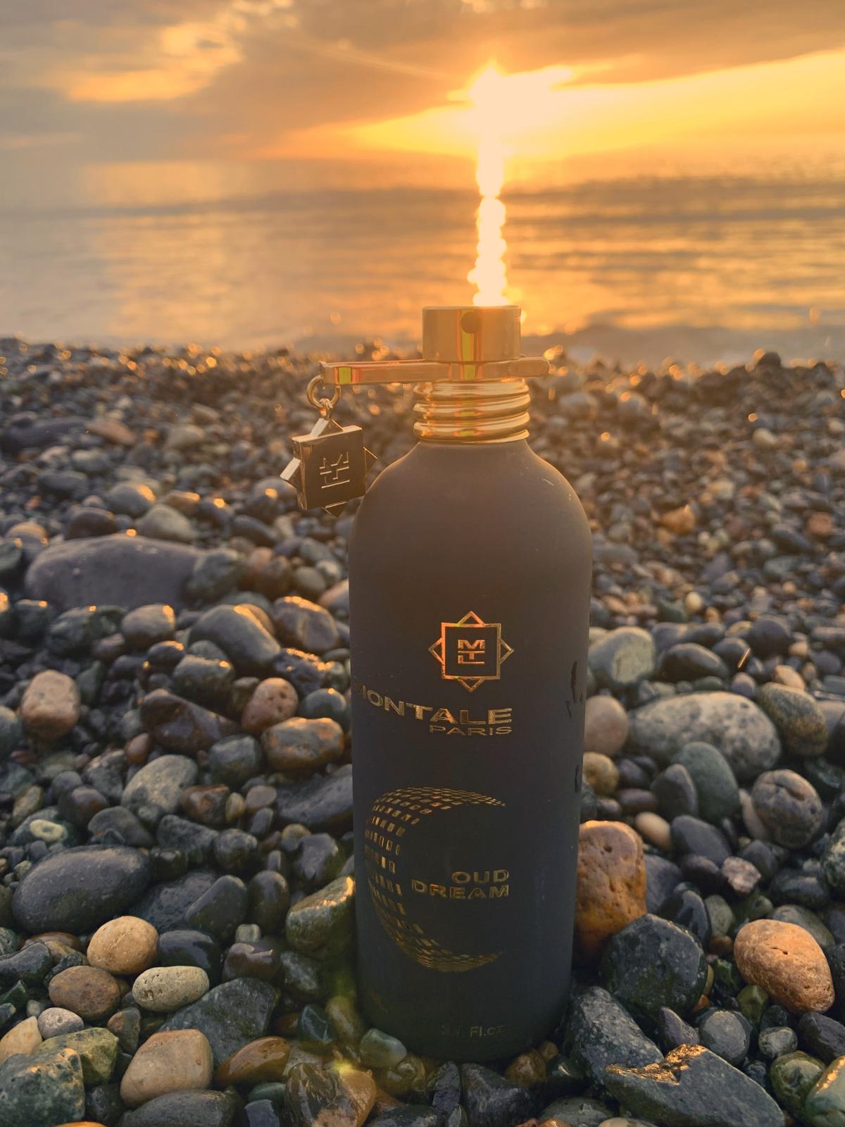 عطر ادکلن اود دریم مونتال - Oud Dream Montale - بررسی، قیمت و خرید