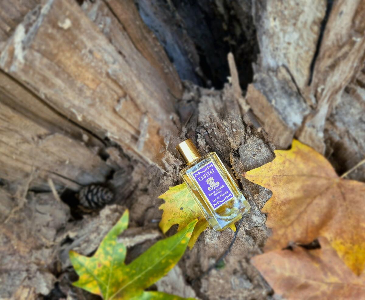 عطر ادکلن اکسولت ماریا کاندیدا جنتیله - Exultat Maria Candida Gentile - بررسی، قیمت و خرید