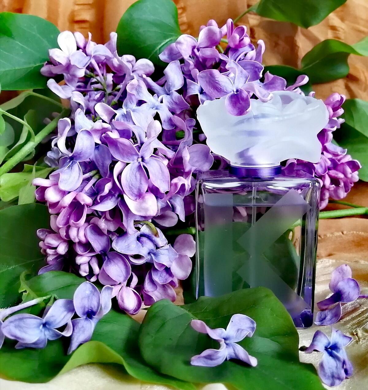 عطر ادکلن کولور کنزو ویولت کنزو - Couleur Kenzo Violet Kenzo - بررسی، قیمت و خرید