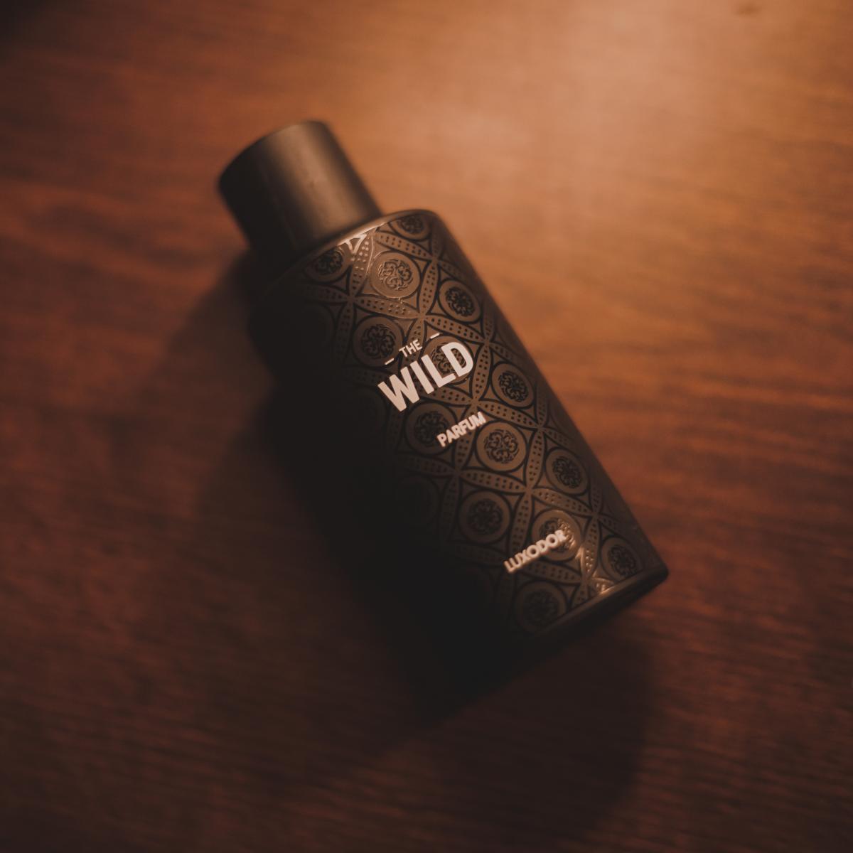 عطر ادکلن د وایلد لوکسودور - The Wild Luxodor - بررسی، قیمت و خرید