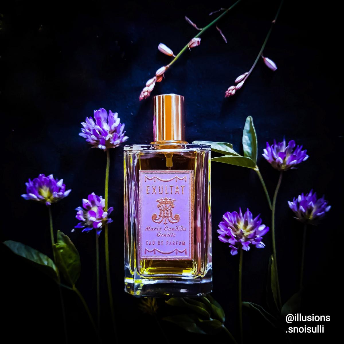 عطر ادکلن اکسولت ماریا کاندیدا جنتیله - Exultat Maria Candida Gentile - بررسی، قیمت و خرید