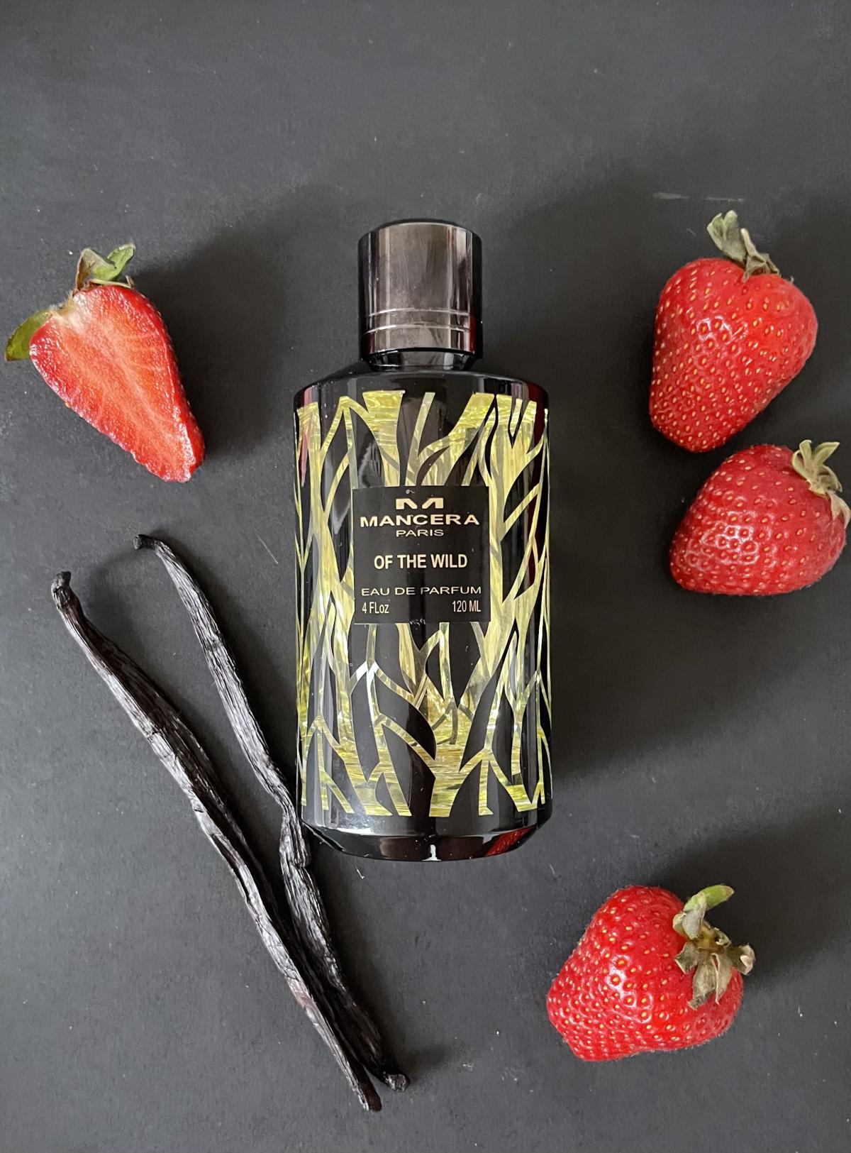 عطر ادکلن آف د وایلد مانسرا - Of The Wild Mancera - بررسی، قیمت و خرید