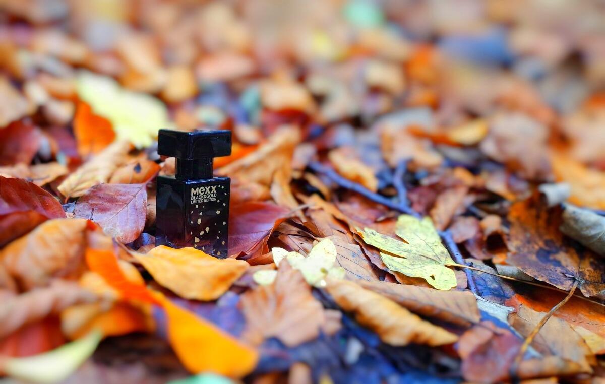 عطر ادکلن مکس بلک فور هر مکس - Mexx Black for Her Mexx - بررسی، قیمت و خرید