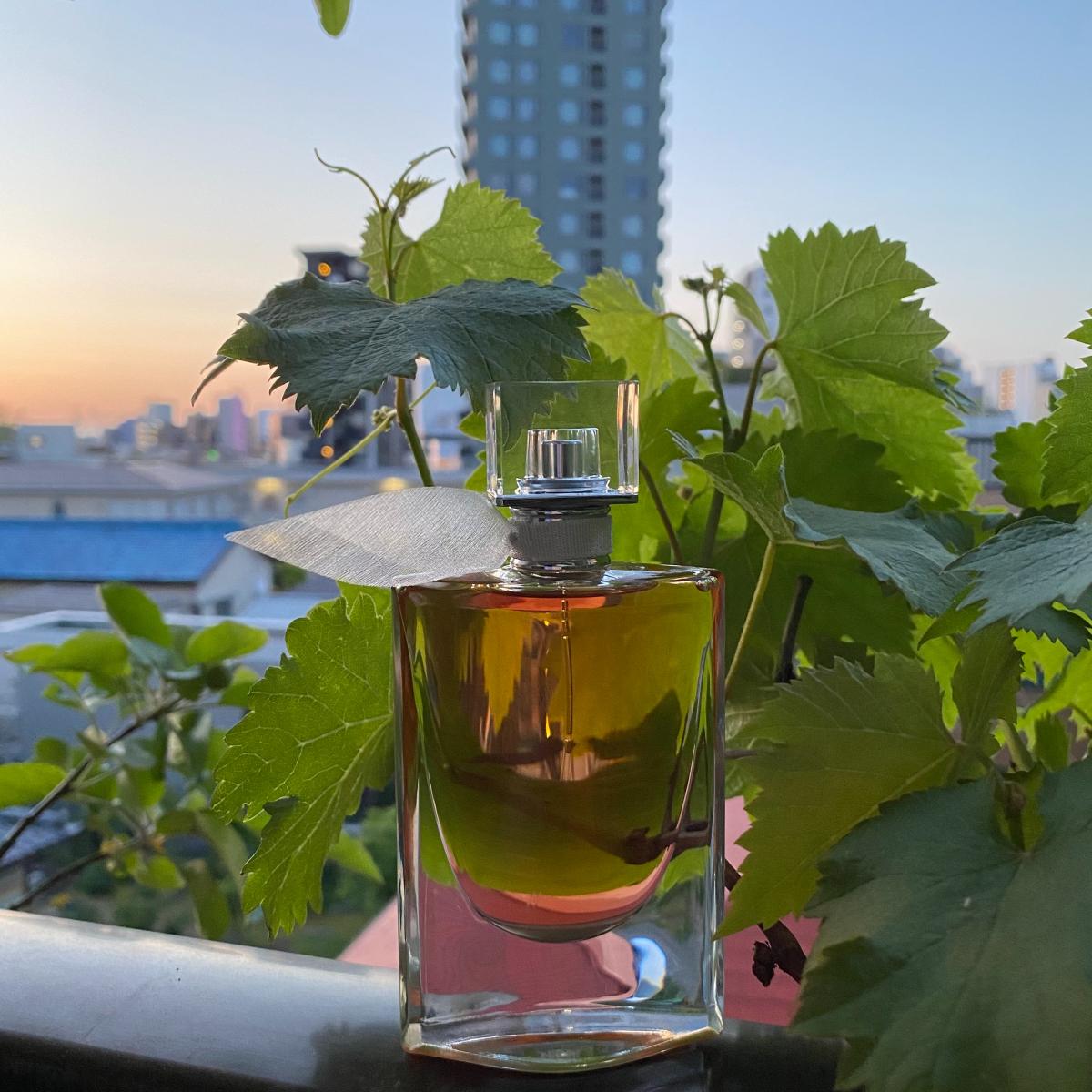 عطر ادکلن لا وی اِست بِل لو دو توالِت لانکوم - La Vie Est Belle L'Eau de Toilette Lancôme - بررسی، قیمت و خرید