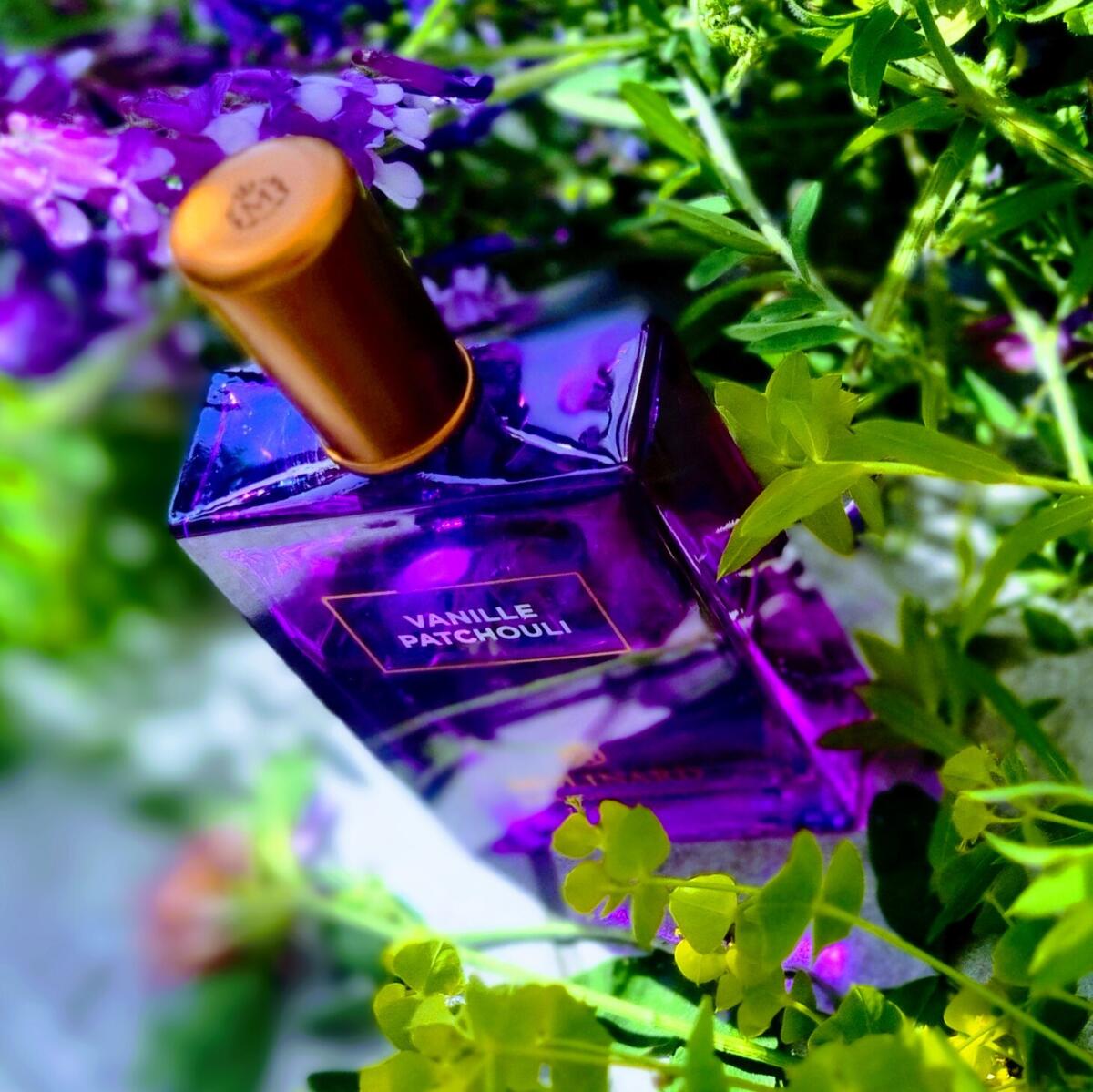 عطر ادکلن وانیل پچولی ادو پرفیوم مولینارد - Vanille Patchouli Eau de Parfum Molinard - بررسی، قیمت و خرید