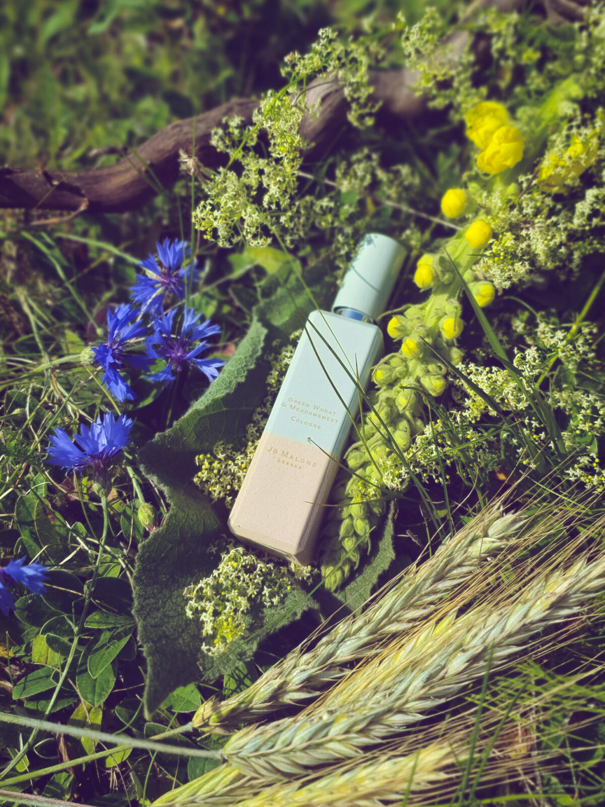 عطر ادکلن گرین ویت اند میدوسوییت جو مالون لندن - Green Wheat & Meadowsweet Jo Malone London - بررسی، قیمت و خرید