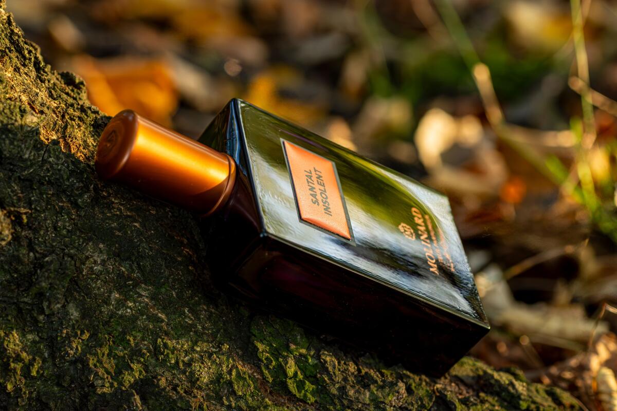 عطر ادکلن سنتال اینسولنت مولینارد - Santal Insolent Molinard - بررسی، قیمت و خرید